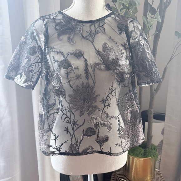 Disturbia Tops - Disturbia Sheer Black Floral Embroidered Short-Sleeve Top US2